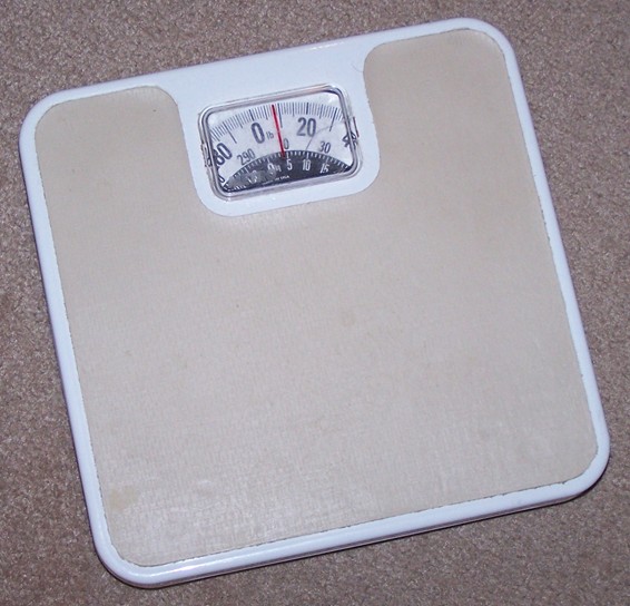 Bathroom scale