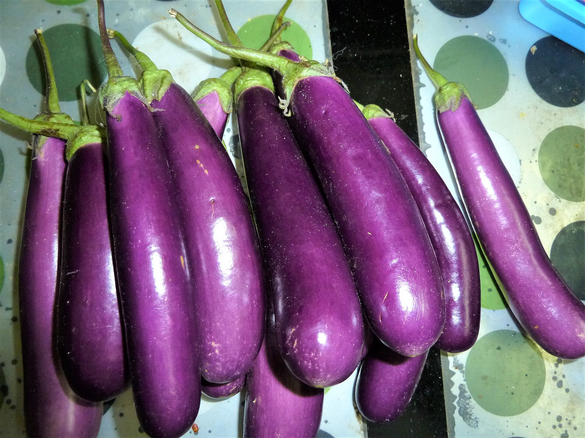 brinjal, eggplant or aubergine